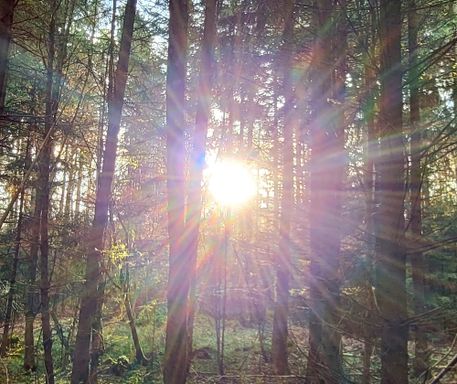 Sonnenstrahlen