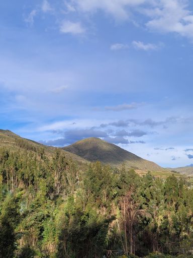 Paru Paru Peru