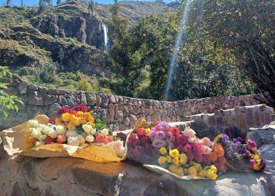 Blumen vor einem Wasserfall