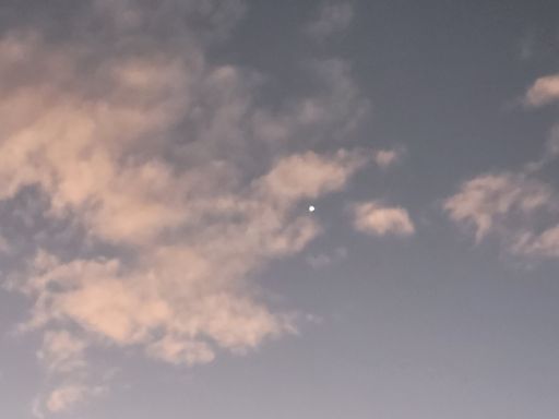 Cloud Dragon
