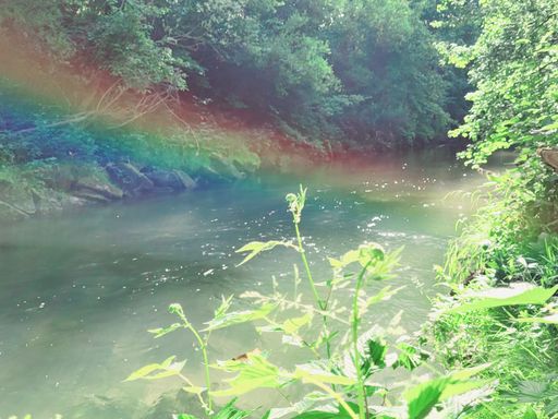 Regenbogen Fils