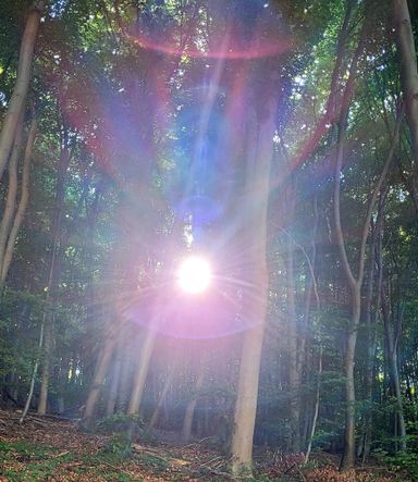 Madre Ayahuasca