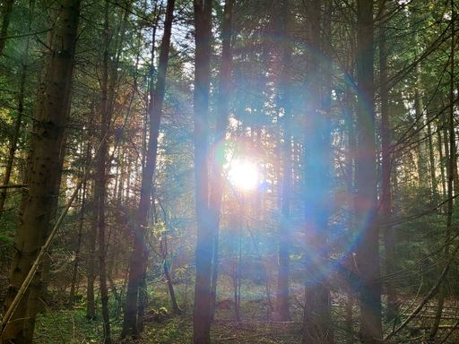 Power of the sun